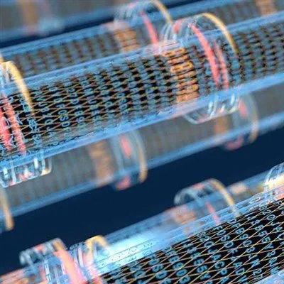 สายเคเบิลไฟเบอร์ออปติกและขั้วต่อ